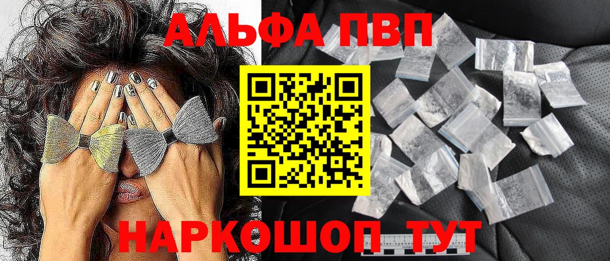 Альфа ПВП СК Майкоп