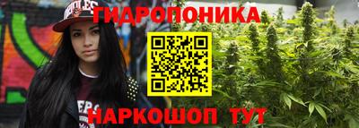 мяу мяу мука Донской